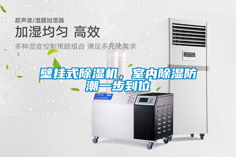 壁掛式除濕機，室內除濕防潮一步到位