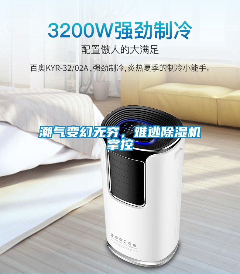 潮氣變幻無窮，難逃除濕機掌控