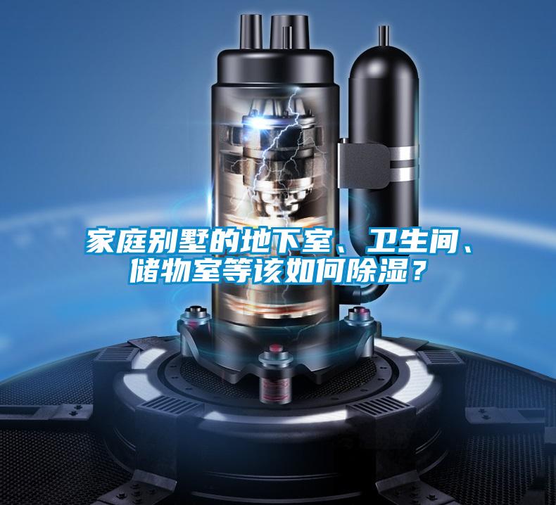家庭別墅的地下室、衛生間、儲物室等該如何除濕？