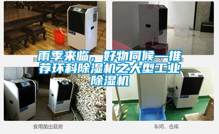 雨季來臨，好物伺候—推薦環科除濕機之大型工業除濕機