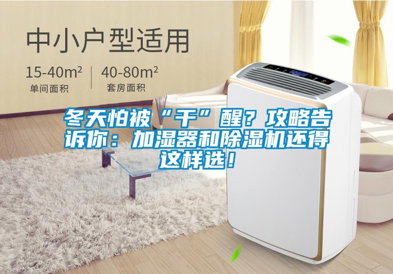 冬天怕被“干”醒？攻略告訴你：加濕器和除濕機還得這樣選！