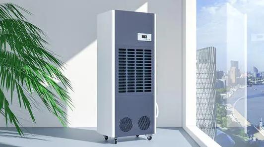 難見太陽(yáng)，南方潮濕，使用除濕機(jī)