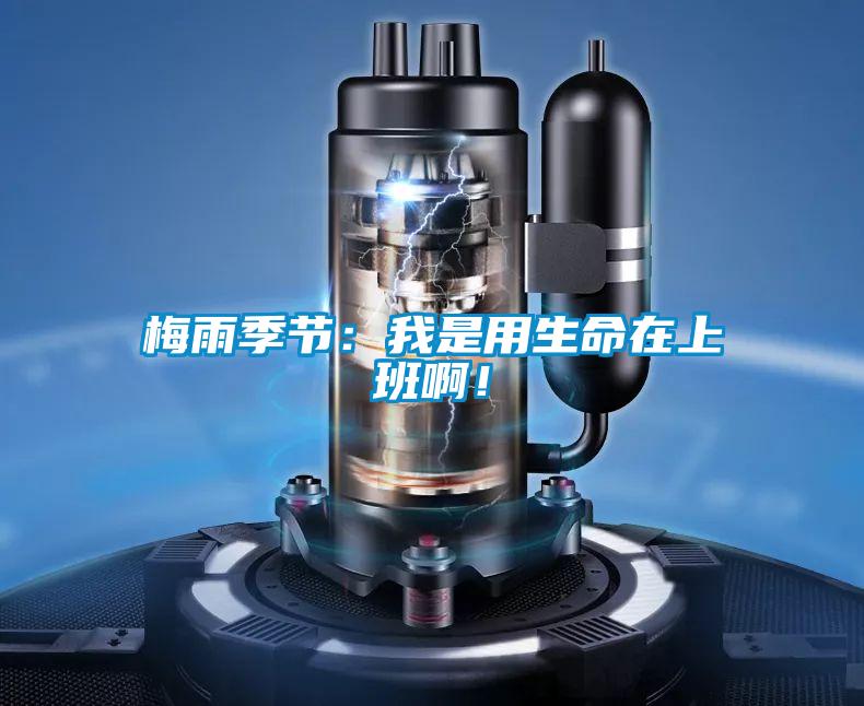 梅雨季節(jié)：我是用生命在上班啊！