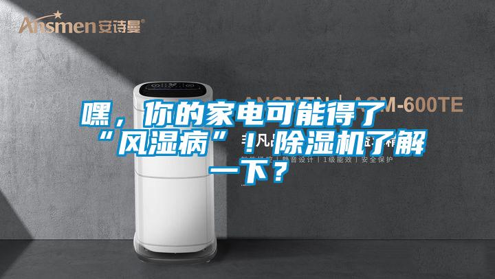 嘿,你的家電可能得了“風濕病”!除濕機了解一下?