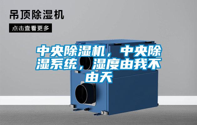 中央除濕機，中央除濕系統，濕度由我不由天