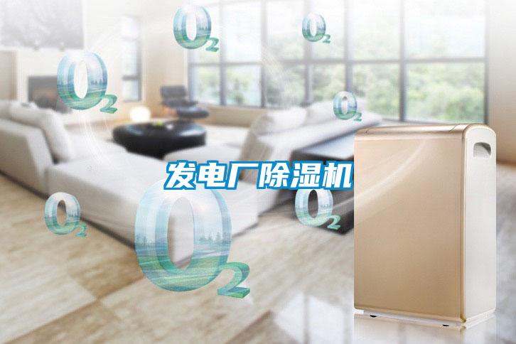 發(fā)電廠(chǎng)除濕機(jī)