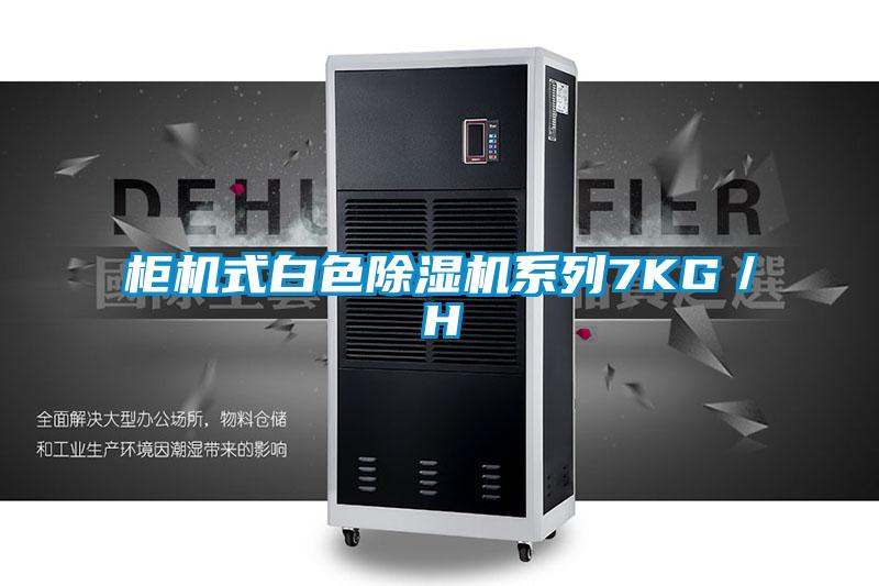 柜機式白色除濕機系列7KG/H