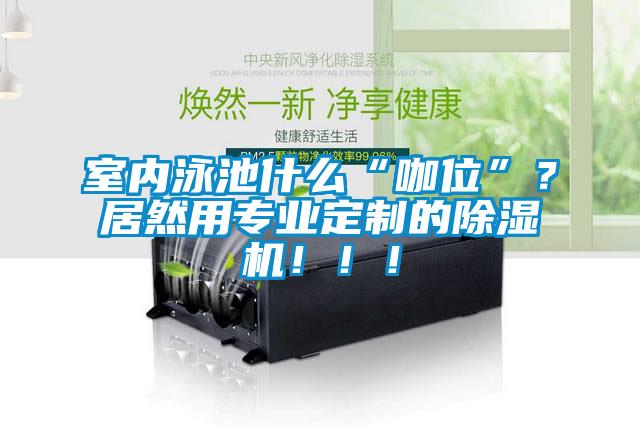 室內泳池什么“咖位”？居然用專業定制的除濕機！！！