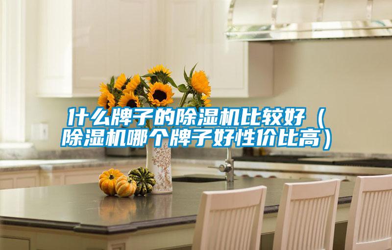 什么牌子的除濕機(jī)比較好（除濕機(jī)哪個(gè)牌子好性?xún)r(jià)比高）