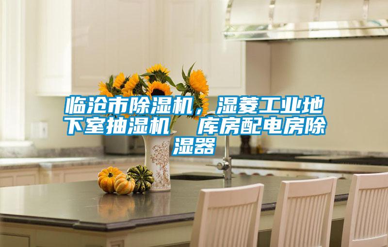 臨滄市除濕機，濕菱工業地下室抽濕機  庫房配電房除濕器