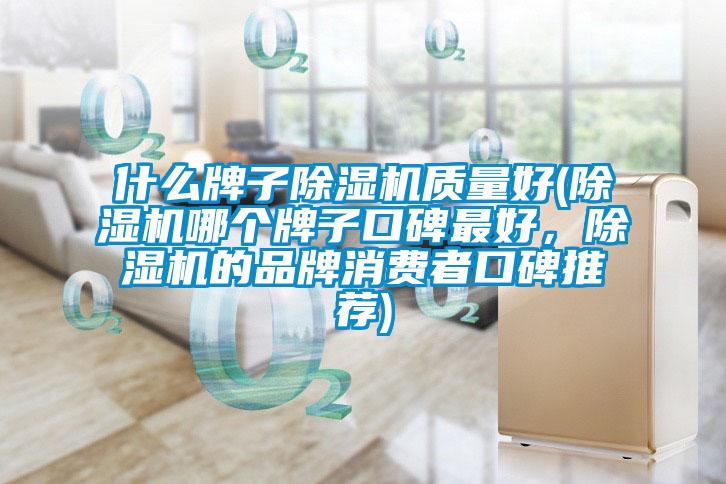 什么牌子除濕機質量好(除濕機哪個牌子口碑最好，除濕機的品牌消費者口碑推薦)