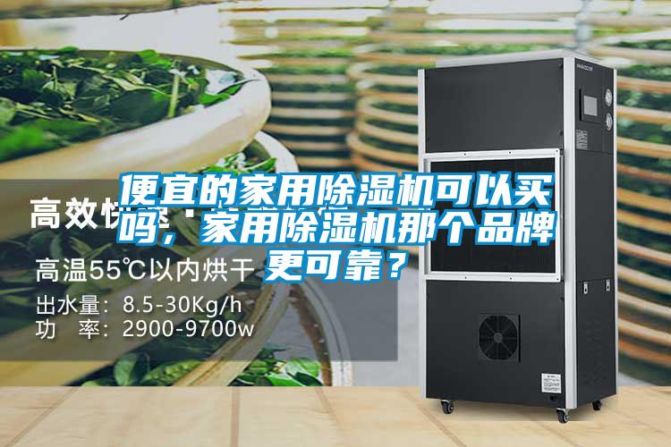 便宜的家用除濕機可以買嗎，家用除濕機那個品牌更可靠？