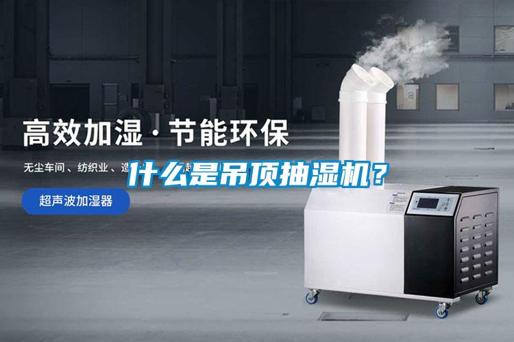 什么是吊頂抽濕機？