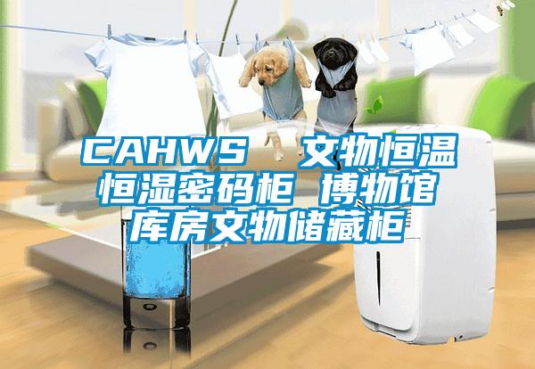 CAHWS 文物恒溫恒濕密碼柜 博物館庫(kù)房文物儲(chǔ)藏柜