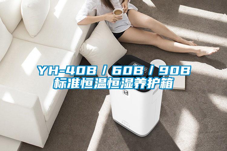 YH-40B/60B/90B標準恒溫恒濕養護箱