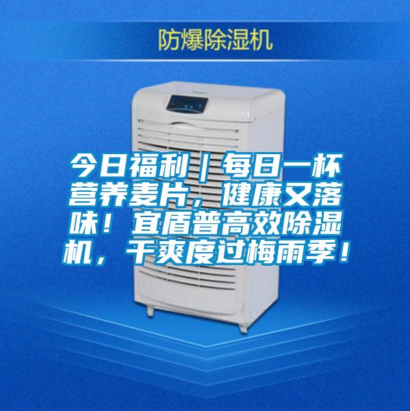 今日福利｜每日一杯營養麥片，健康又落味！宜盾普高效除濕機，干爽度過梅雨季！