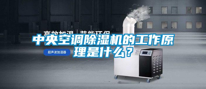 中央空調除濕機的工作原理是什么？