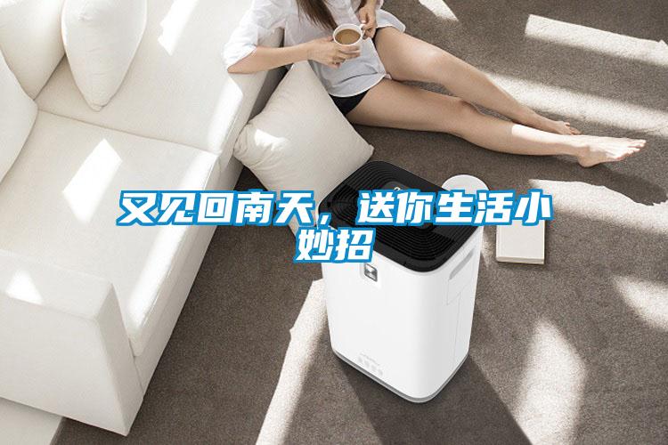 又見回南天，送你生活小妙招