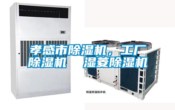 孝感市除濕機，工廠除濕機  濕菱除濕機