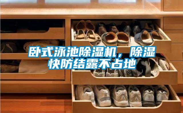 臥式泳池除濕機,除濕快防結露不占地