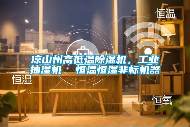 涼山州高低溫除濕機,工業抽濕機 恒溫恒濕非標機器
