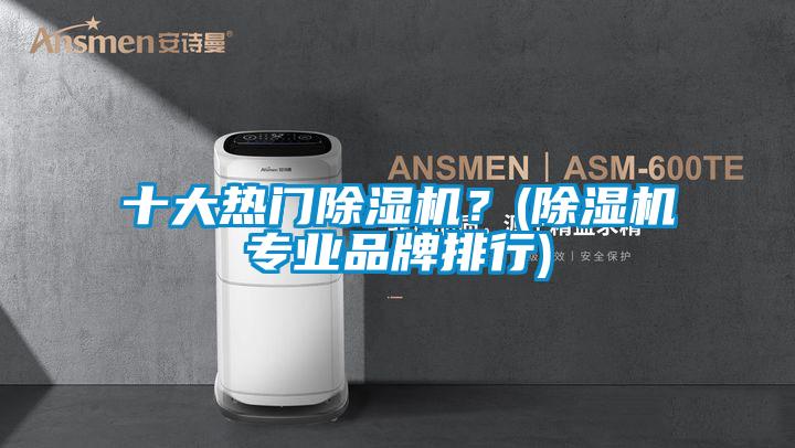 十大熱門(mén)除濕機(jī)？(除濕機(jī)專(zhuān)業(yè)品牌排行)
