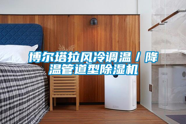 博爾塔拉風冷調溫/降溫管道型除濕機