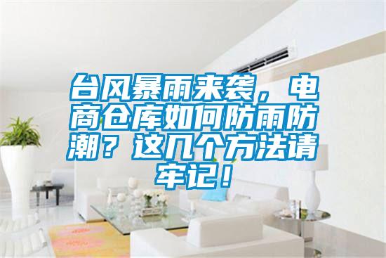 臺風暴雨來襲，電商倉庫如何防雨防潮？這幾個方法請牢記！