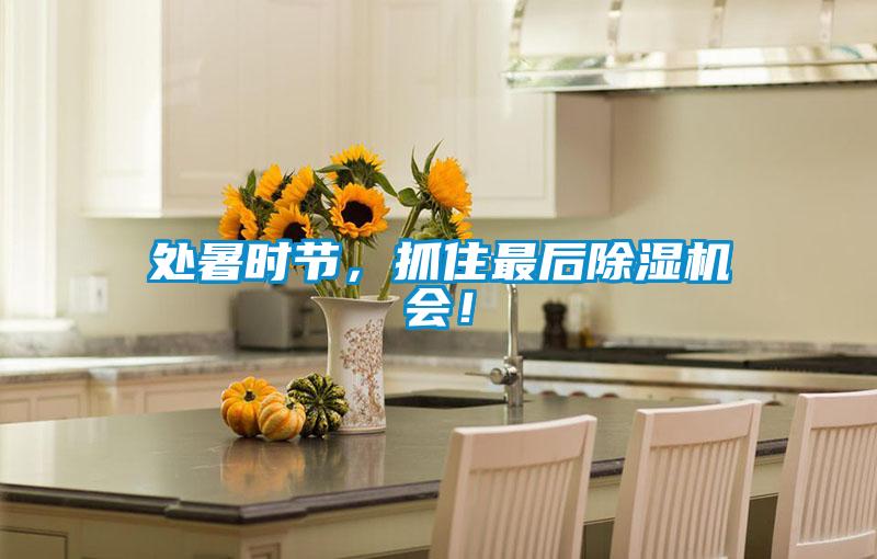 處暑時節，抓住最后除濕機會！
