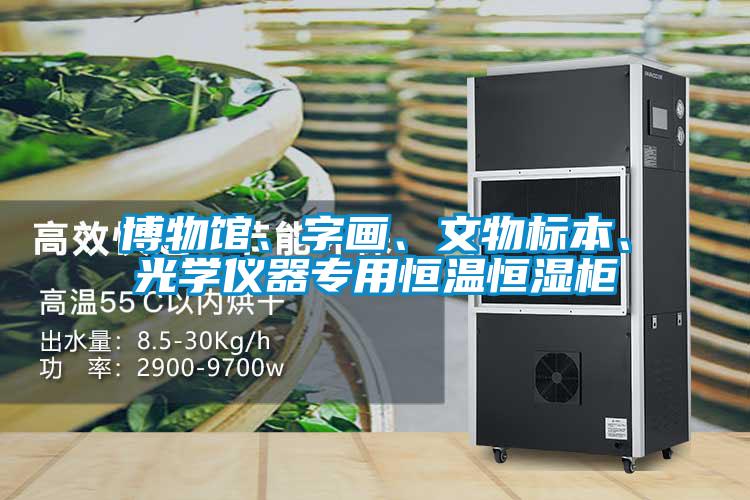 博物館、字畫(huà)、文物標(biāo)本、光學(xué)儀器專(zhuān)用恒溫恒濕柜