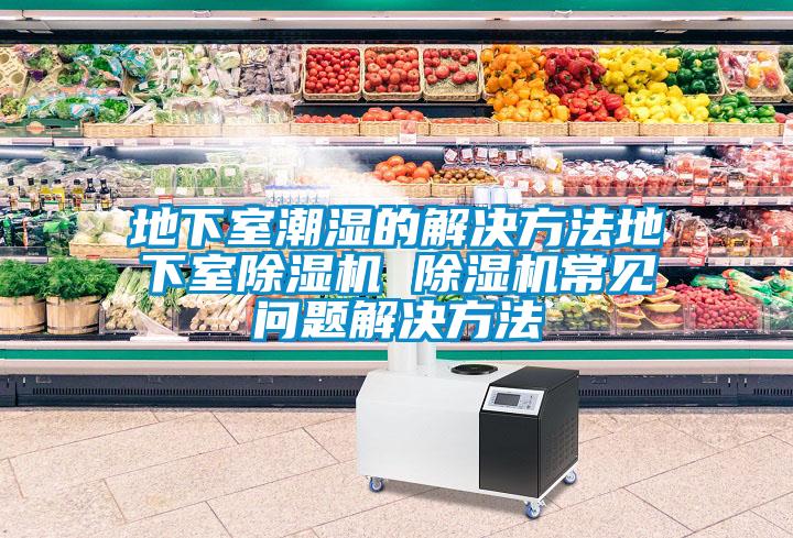 地下室潮濕的解決方法地下室除濕機(jī) 除濕機(jī)常見問(wèn)題解決方法
