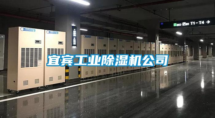 宜賓工業除濕機公司