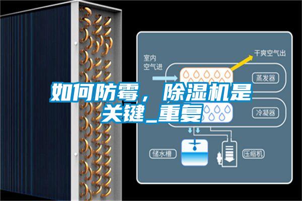 如何防霉,除濕機是關鍵_重復