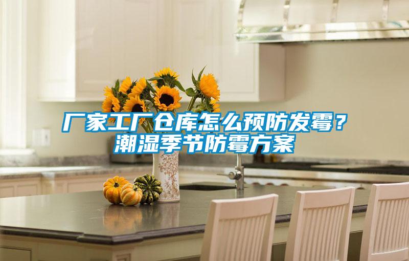 廠家工廠倉庫怎么預防發霉？潮濕季節防霉方案