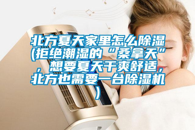 北方夏天家里怎么除濕(拒絕潮濕的“桑拿天”，想要夏天干爽舒適，北方也需要一臺除濕機)
