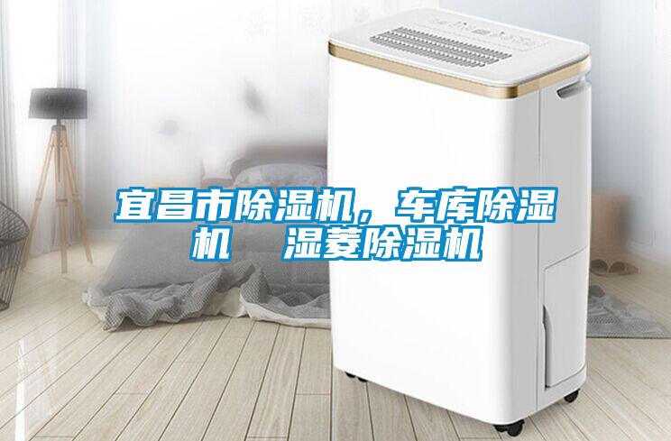 宜昌市除濕機，車庫除濕機  濕菱除濕機