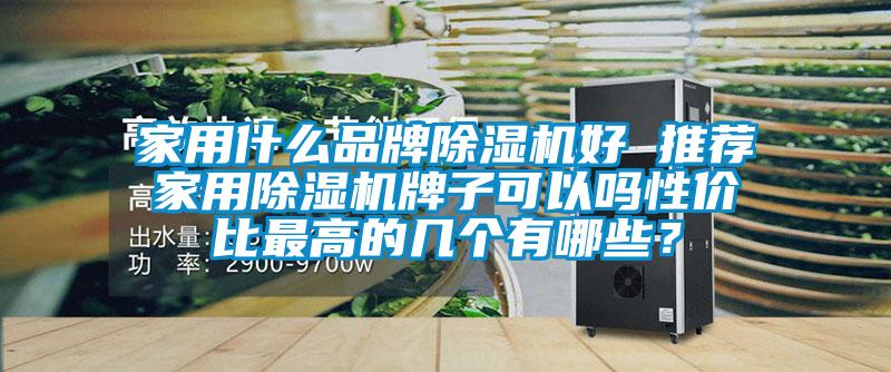家用什么品牌除濕機好 推薦家用除濕機牌子可以嗎性價比最高的幾個有哪些？