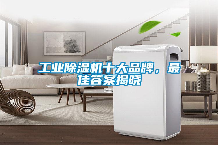 工業除濕機十大品牌，最佳答案揭曉