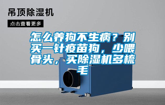 怎么養(yǎng)狗不生?。縿e買一針疫苗狗，少喂骨頭，買除濕機多梳毛