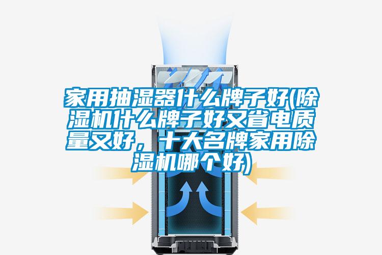 家用抽濕器什么牌子好(除濕機什么牌子好又省電質量又好，十大名牌家用除濕機哪個好)