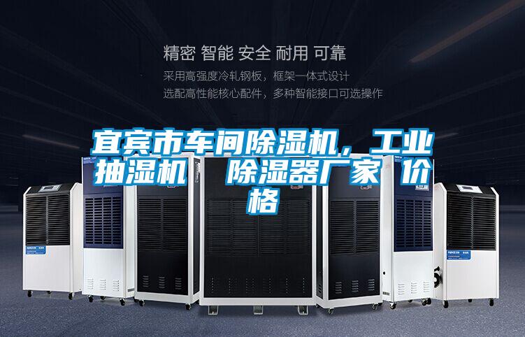 宜賓市車間除濕機，工業抽濕機  除濕器廠家 價格