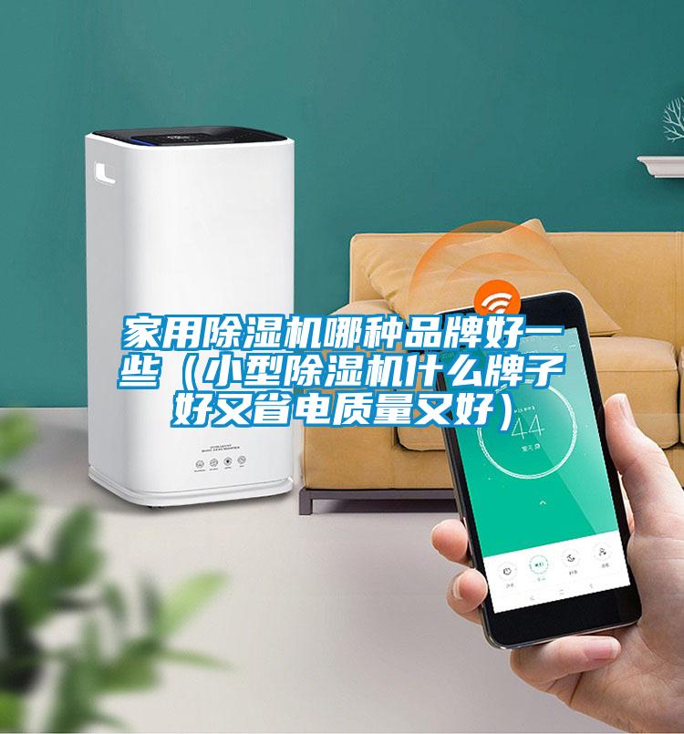 家用除濕機哪種品牌好一些(小型除濕機什么牌子好又省電質(zhì)量又好)