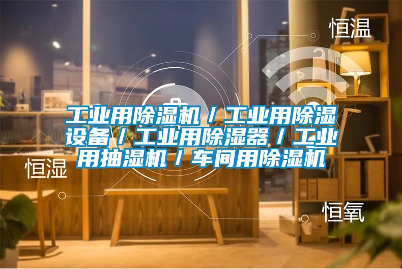工業(yè)用除濕機/工業(yè)用除濕設(shè)備/工業(yè)用除濕器/工業(yè)用抽濕機/車間用除濕機