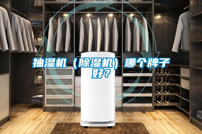 抽濕機（除濕機）哪個牌子好？