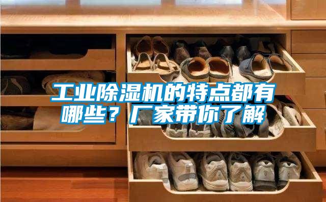 工業除濕機的特點都有哪些？廠家帶你了解