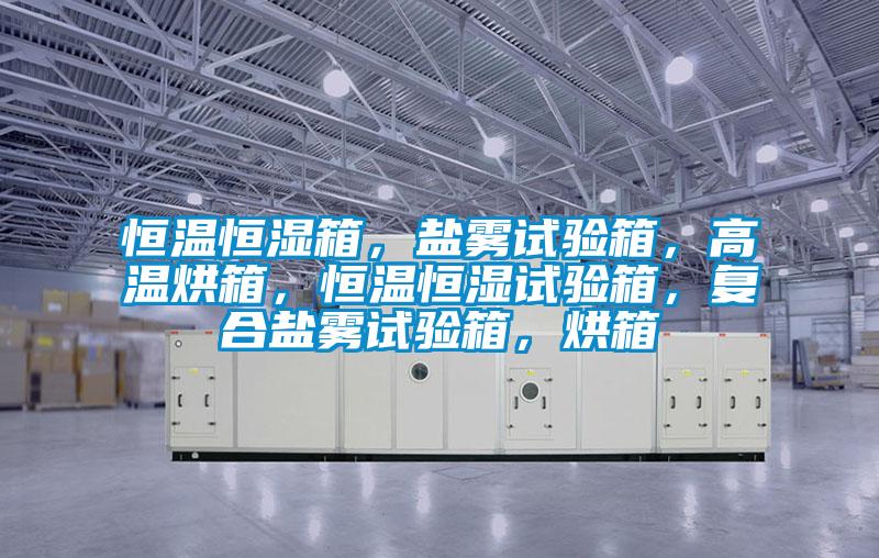 恒溫恒濕箱，鹽霧試驗(yàn)箱，高溫烘箱，恒溫恒濕試驗(yàn)箱，復(fù)合鹽霧試驗(yàn)箱，烘箱