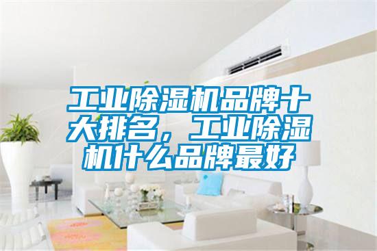 工業除濕機品牌十大排名,工業除濕機什么品牌最好