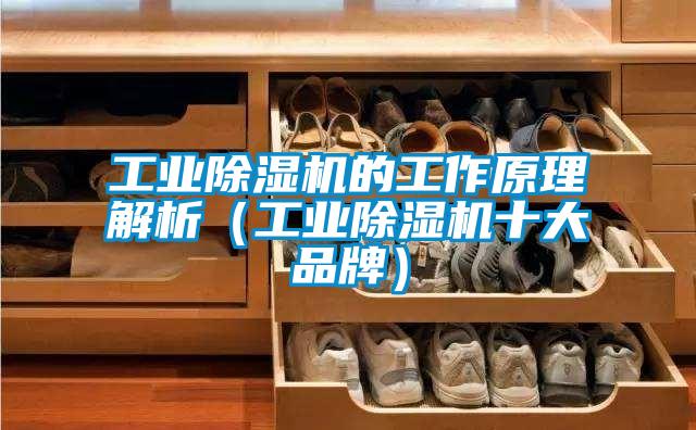 工業(yè)除濕機(jī)的工作原理解析(工業(yè)除濕機(jī)十大品牌)