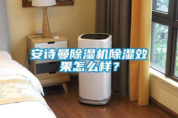 安詩(shī)曼除濕機(jī)除濕效果怎么樣？