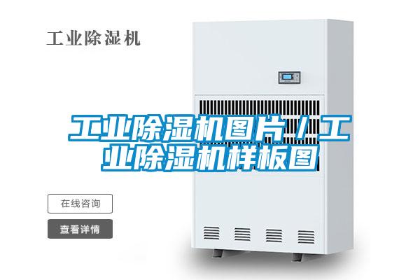 工業除濕機圖片/工業除濕機樣板圖